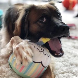 Meet your Posher, Chels